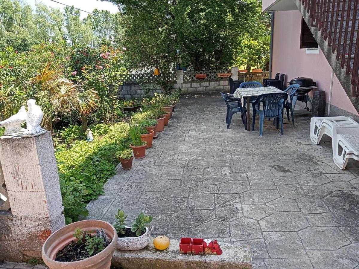 Luna أنكاران المظهر الخارجي الصورة
